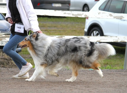 onni